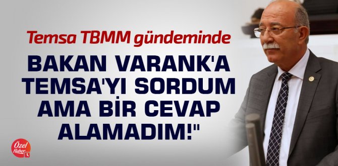 Temsa TBMM gündeminde