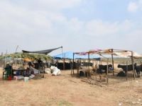 Sarıçam'da kurban satış ve kesim alanları belirlendi